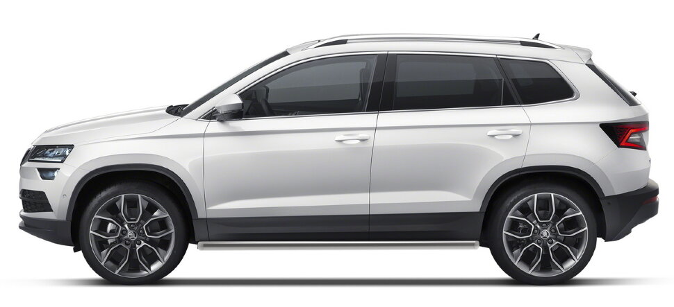 Защита порогов d57 Rival для Skoda Karoq 2020-н.в., нерж. сталь, 2 шт., R.5102.003 купить недорого