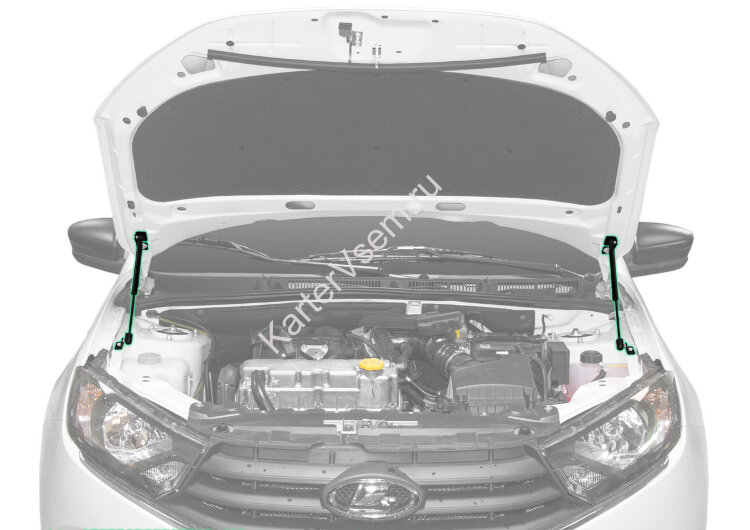 Газовые упоры капота Pneumatic для Datsun mi-DO 2015-2020, 2 шт., KU-LD-GR00-02