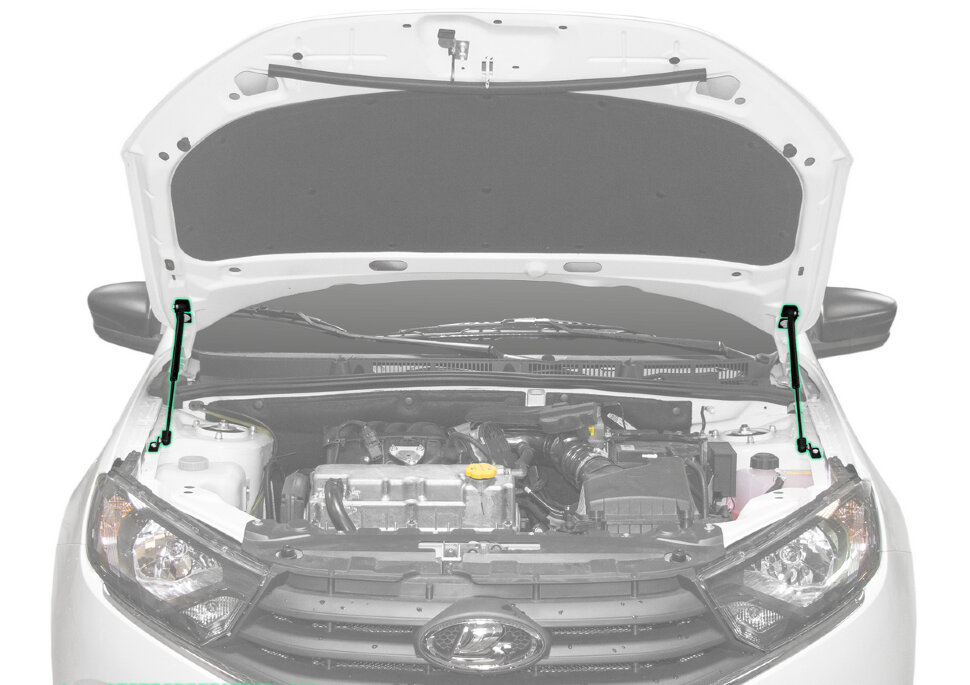 Газовые упоры капота Pneumatic для Datsun on-DO 2014-2020, 2 шт., KU-LD-GR00-02