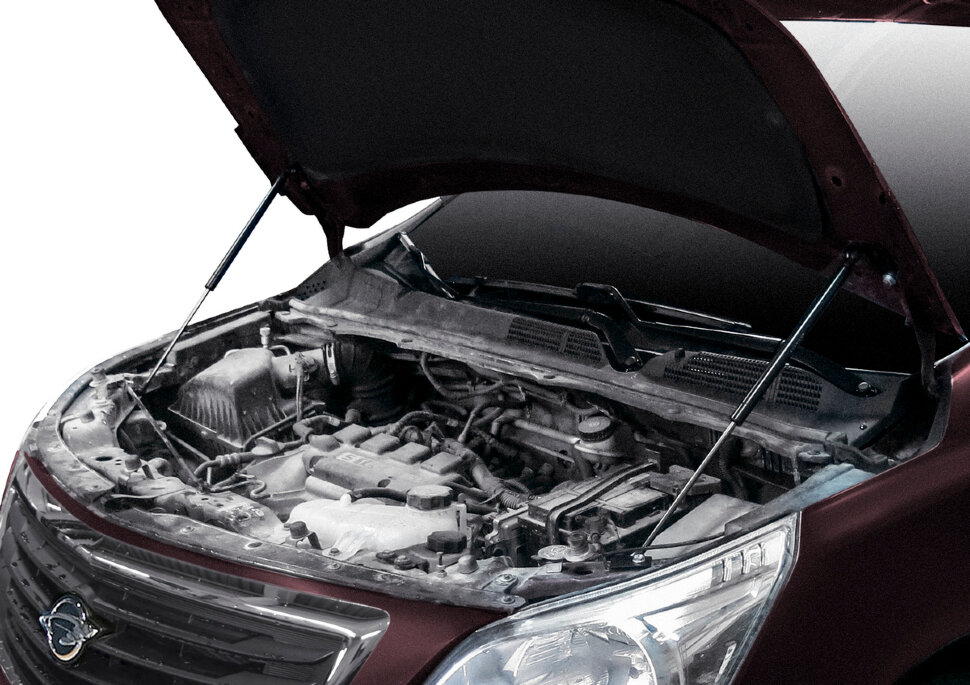 Газовые упоры капота АвтоУпор для Ravon R4 2016-2020, 2 шт., URAR4011