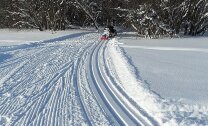 Резак для лыжни для Ski-Doo (BRP)