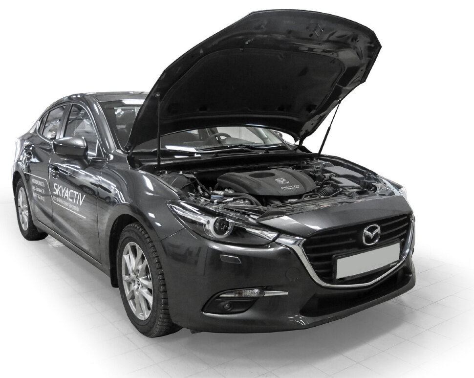 Газовые упоры капота Rival для Mazda 3 BM 2013-2018, 2 шт., A.ST.3802.1
