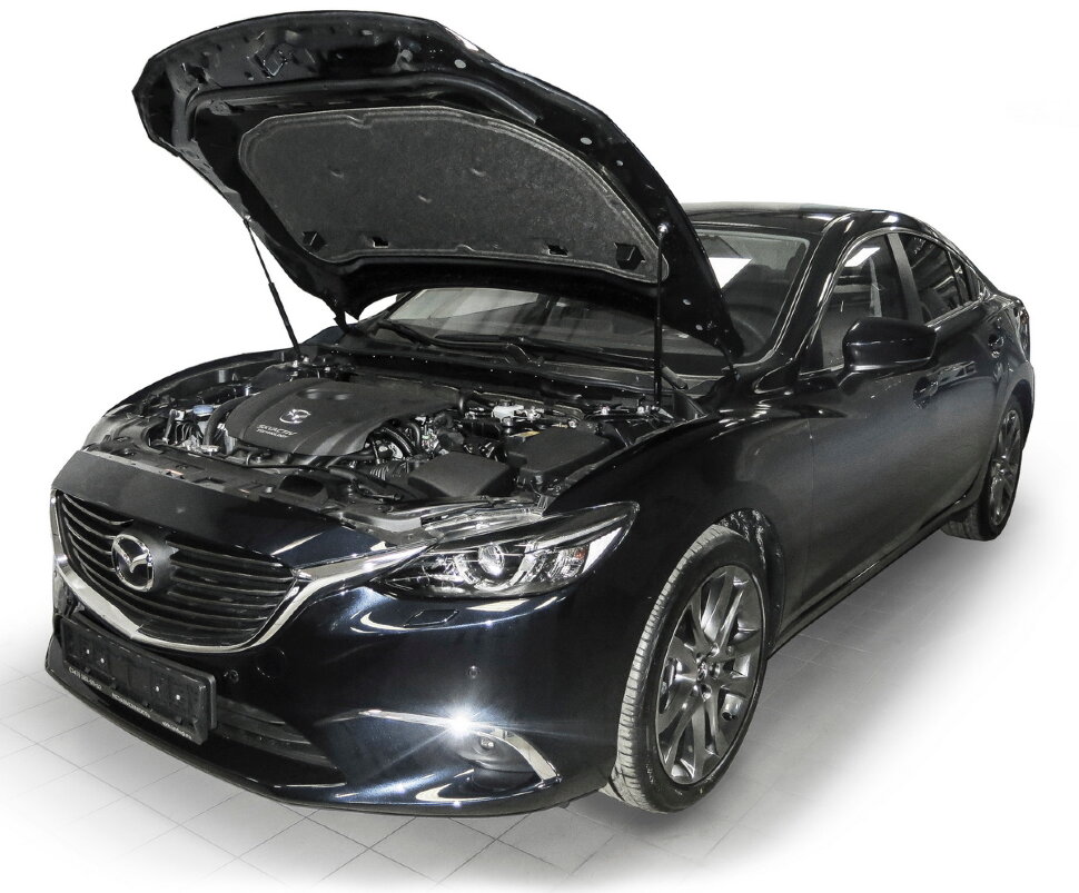 Газовые упоры капота Rival для Mazda 3 BM 2013-2018, 2 шт., A.ST.3802.1