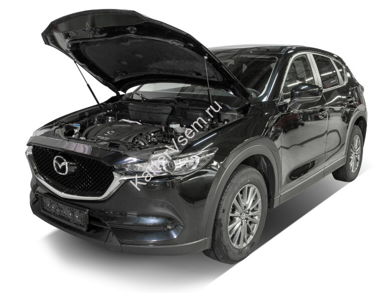 Газовые упоры капота Rival для Mazda CX-5 I, II 2011-2017 2017-н.в., 2 шт., A.ST.3804.1