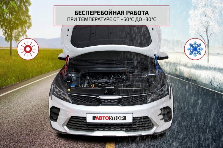 Упоры капота Changan Eado I (2013-2018),Eado II (2018-н.в.) 2013-2018,2018-н.в. арт.UCHEAD011