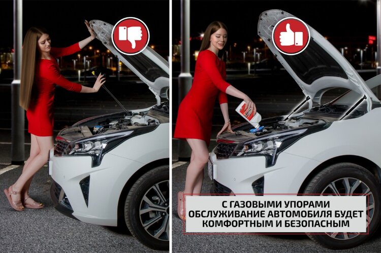 Упоры капота Changan Eado I (2013-2018),Eado II (2018-н.в.) 2013-2018,2018-н.в. арт.UCHEAD011