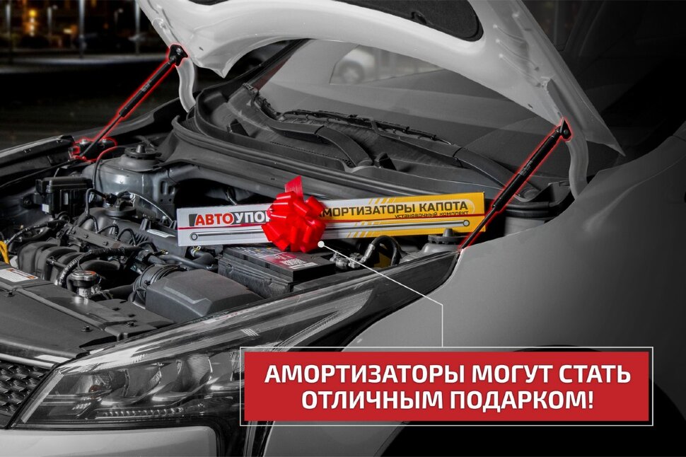 Упоры капота GAC GS3 (2024-н.в.) 2024-н.в. арт.UGAGS3011