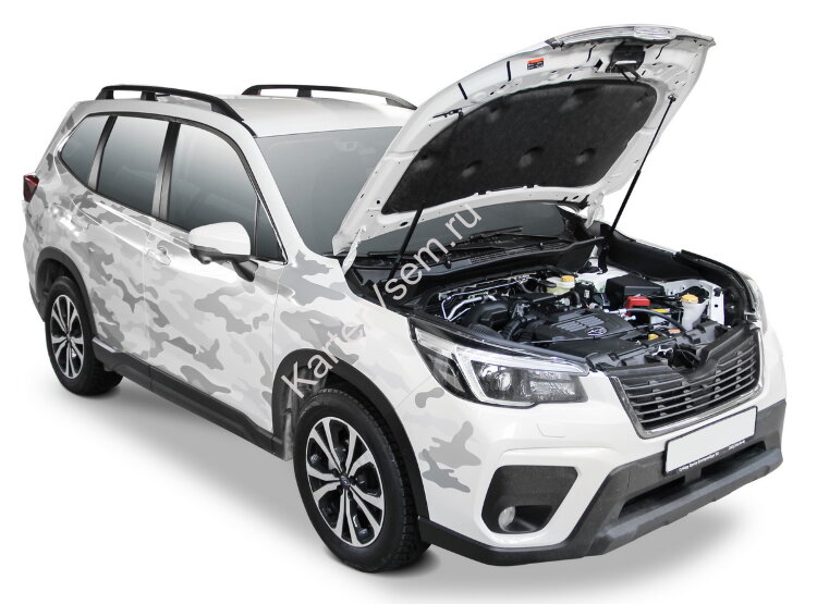 Газовые упоры капота Rival для Subaru Forester V 2018-2021, 2 шт., A.ST.5403.1