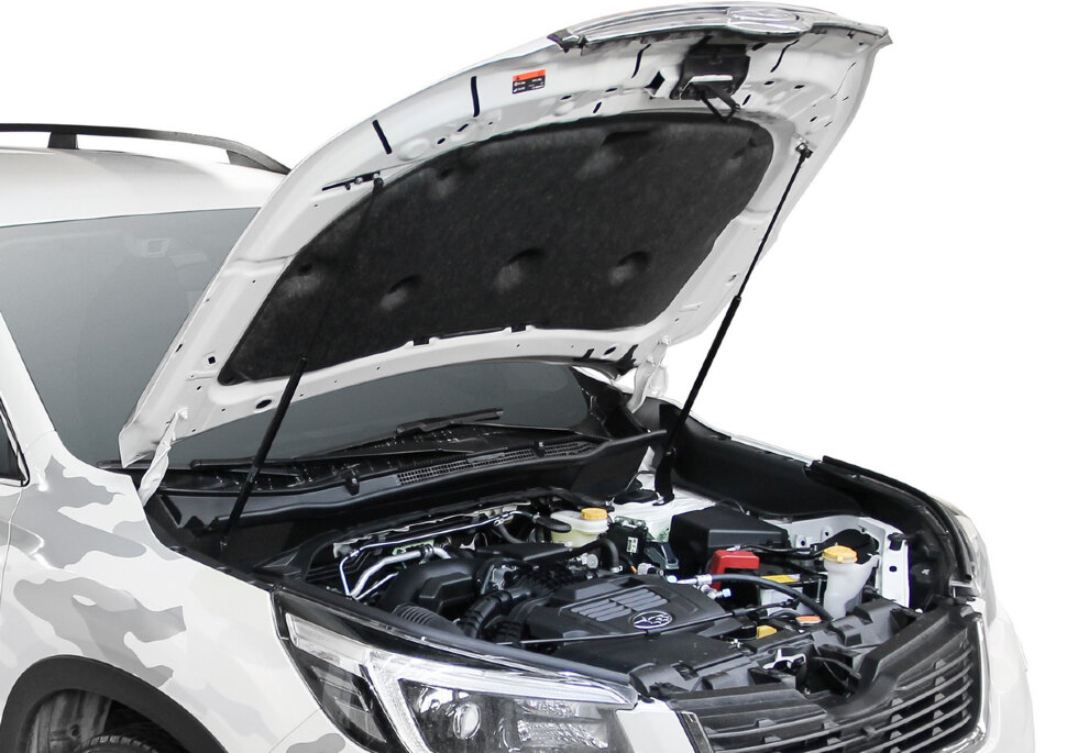 Газовые упоры капота Rival для Subaru Forester V 2018-2021, 2 шт., A.ST.5403.1
