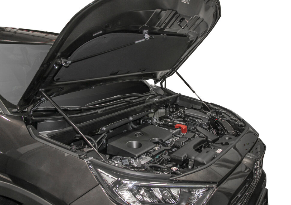 Газовые упоры капота Rival для Toyota RAV4 XA50 2019-н.в., 2 шт., A.ST.5714.1