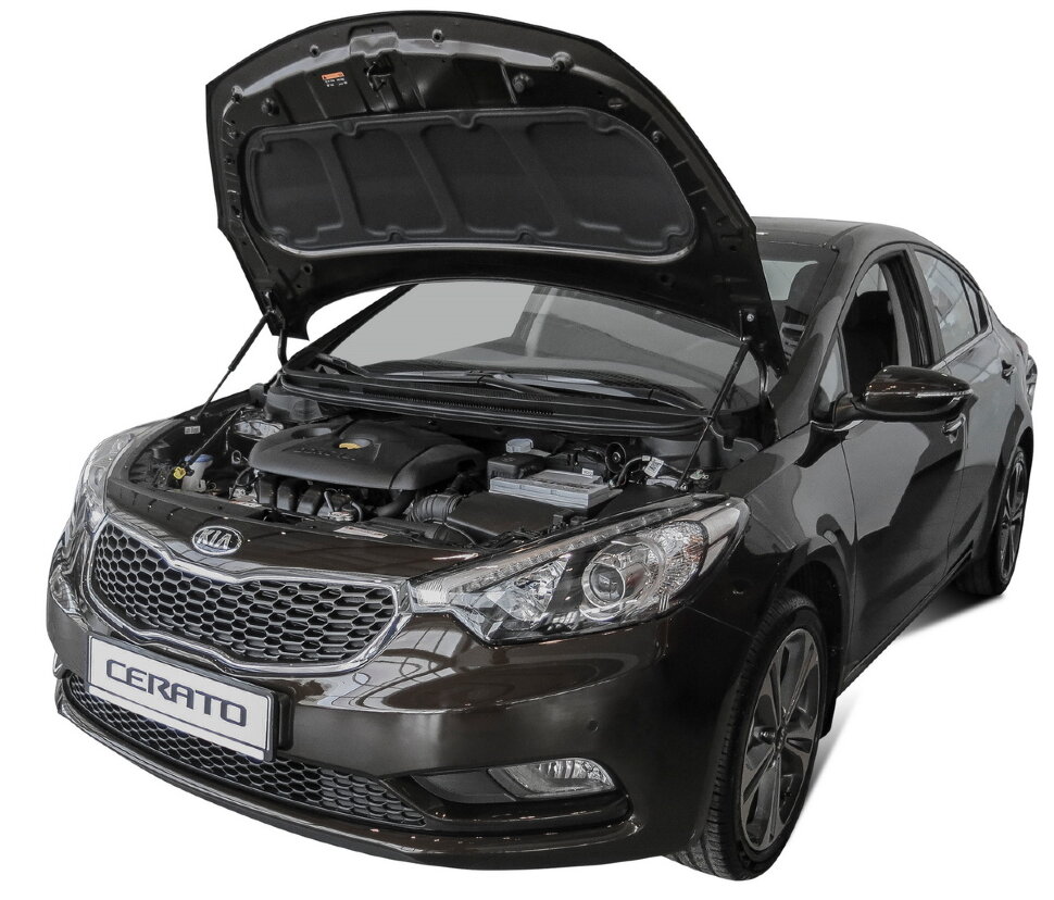 Газовые упоры капота АвтоУпор для Kia Cerato III 2013-2018, 2 шт., UKICER012