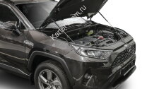 Газовые упоры капота АвтоУпор для Toyota RAV 4 XA50 2019-н.в., 2 шт., UTORAV031