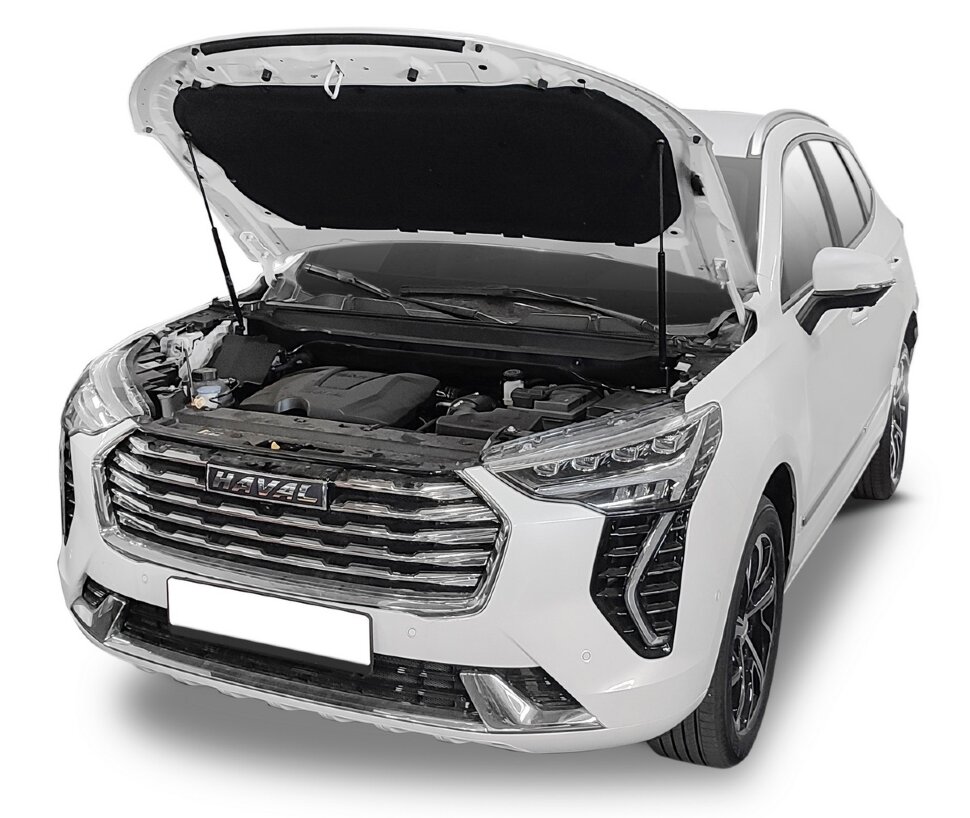 Газовые упоры капота Rival для Haval Jolion 2021-н.в., 2 шт., A.ST.9403.1
