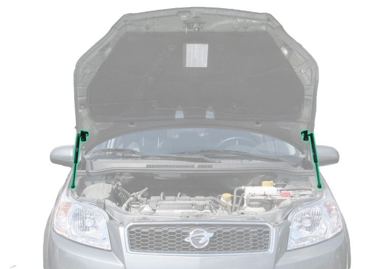Газовые упоры капота Pneumatic для Chevrolet Nexia 2020-н.в., 2 шт., KU-RV-R300-00