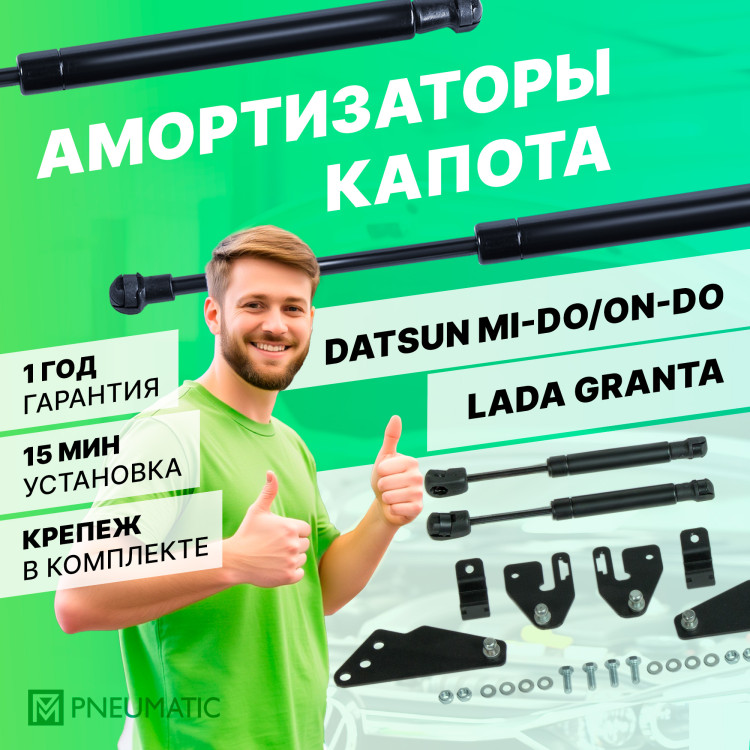 Газовые амортизаторы багажника Pneumatic для Datsun mi-DO 2014-2020, 2 шт., AB-DT-ONDO-00