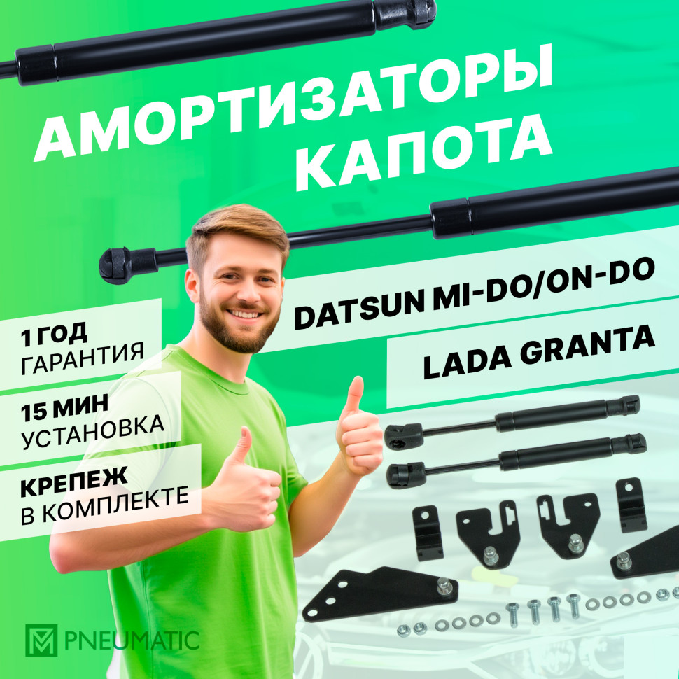 Газовые амортизаторы багажника Pneumatic для Datsun mi-DO 2014-2020, 2 шт., AB-DT-ONDO-00