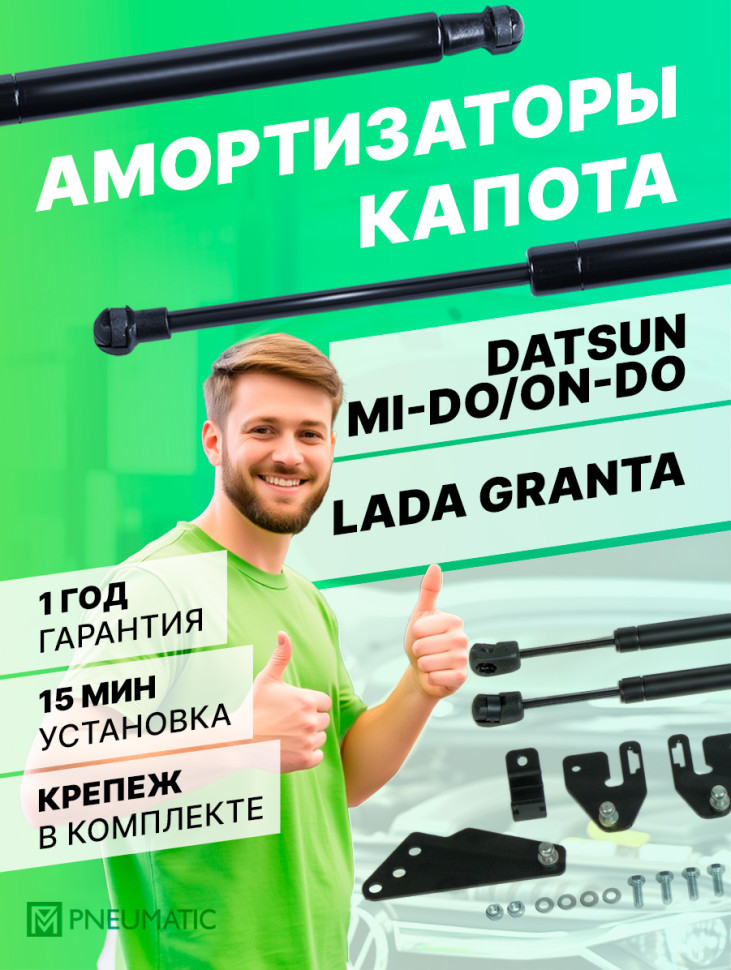 Газовые амортизаторы багажника Pneumatic для Datsun mi-DO 2014-2020, 2 шт., AB-DT-ONDO-00