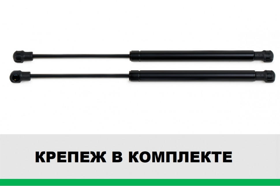 Газовые упоры капота Pneumatic для Ravon R2 2016-2020, 2 шт., KU-RV-R200-00