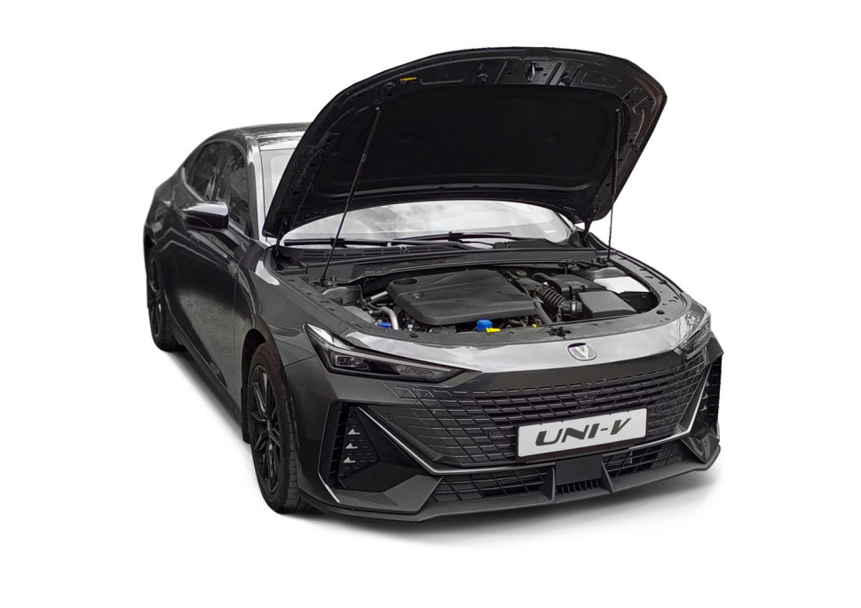 Газовые упоры капота Rival для Changan Lamore 2023-н.в., 2 шт., A.ST.8912.1