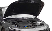 Газовые упоры капота Rival для Changan Lamore 2023-н.в., 2 шт., A.ST.8912.1