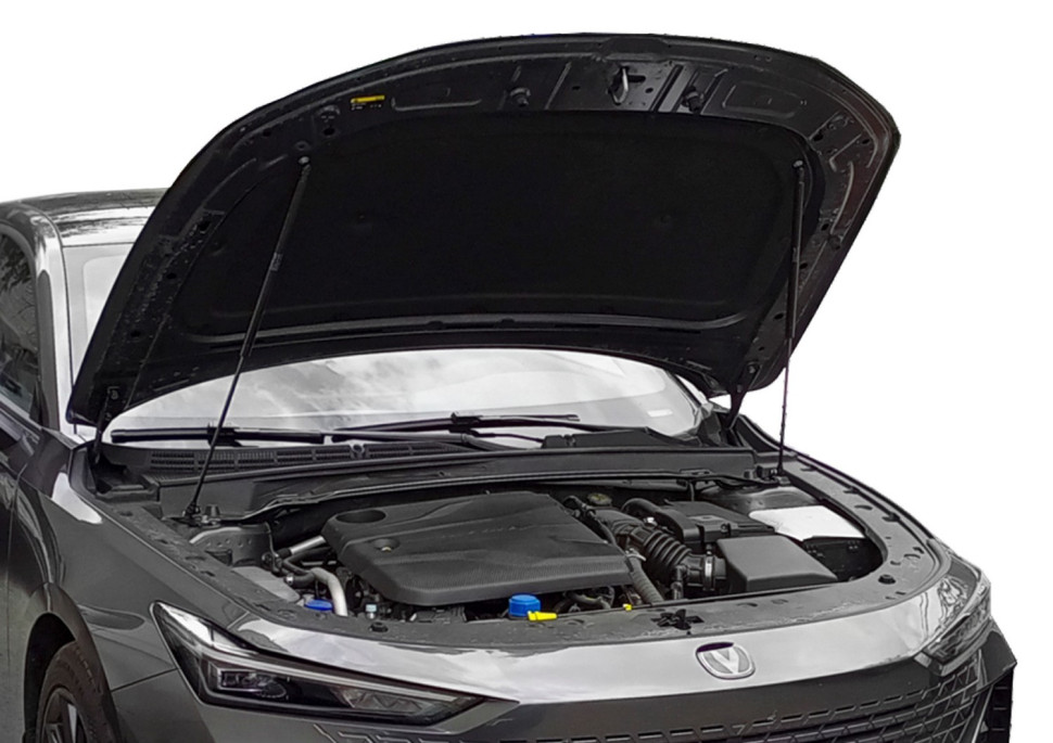 Газовые упоры капота Rival для Changan Lamore 2023-н.в., 2 шт., A.ST.8912.1