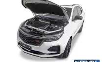 Амортизаторы капота Chevrolet Equinox III 2020-н.в. (A.ST.1007.1)