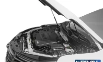 Амортизаторы капота Chevrolet Equinox III 2020-н.в. (A.ST.1007.1)