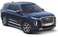 Пороги площадки (подножки) "Premium" Rival для Hyundai Palisade 2020-н.в., 193 см, 2 шт., алюминий, A193ALP.2311.1