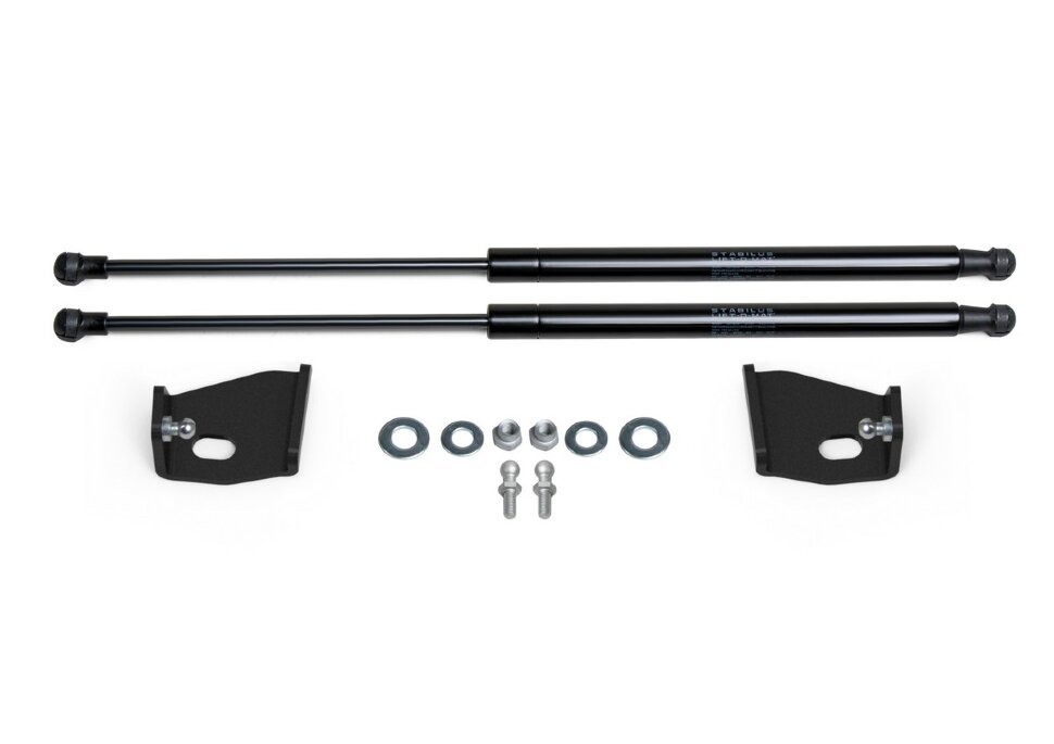 Газовые упоры капота Rival для Evolute i-Pro 2022-н.в., 2 шт., A.ST.0601.1