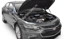 Газовые упоры капота АвтоУпор для Chevrolet Malibu IX 2015-2018, 2 шт., UCHMAL011