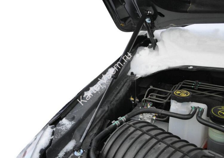 Газовые упоры капота АвтоУпор для Chevrolet TrailBlazer II 2012-2016, 2 шт., UCHTRA012