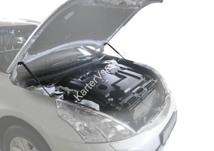 Газовые упоры капота АвтоУпор для Nissan Teana II 2008-2014, 2 шт., UNITEA012