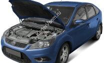 Газовые упоры капота АвтоУпор для Ford Focus II 2005-2011, 2 шт., UFDFOC013