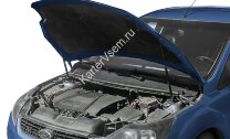Газовые упоры капота АвтоУпор для Ford Focus II 2005-2011, 2 шт., UFDFOC013