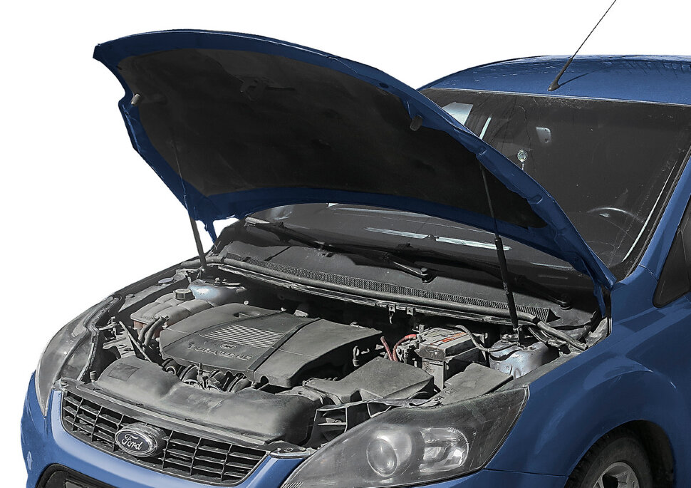 Газовые упоры капота АвтоУпор для Ford Focus II 2005-2011, 2 шт., UFDFOC013