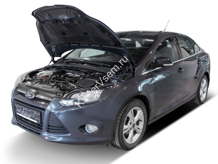 Газовые упоры капота АвтоУпор для Ford Focus III 2011-2019, 2 шт., UFDFOC021