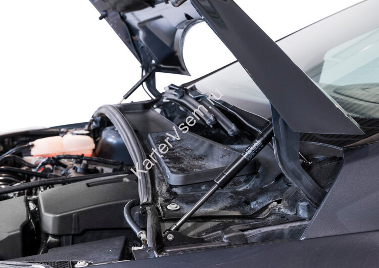 Газовые упоры капота АвтоУпор для Ford Focus III 2011-2019, 2 шт., UFDFOC021