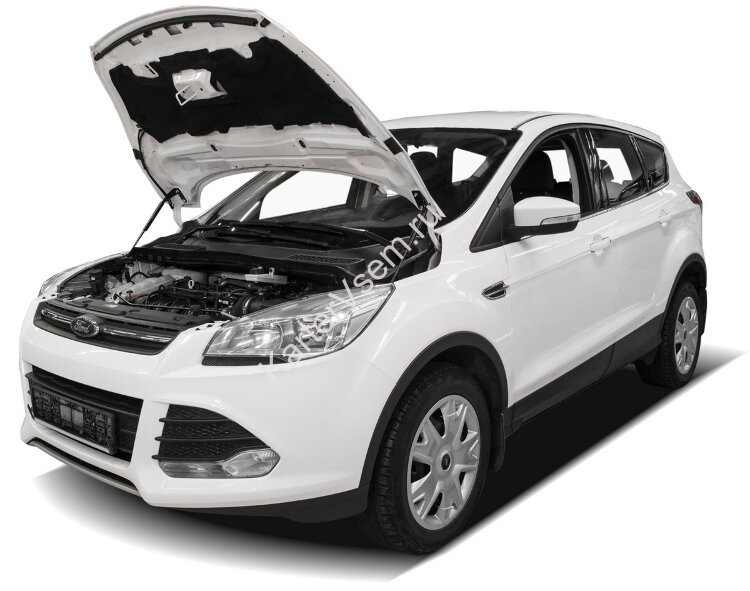 Газовые упоры капота АвтоУпор для Ford Kuga II 2013-2017, 2 шт., UFDKUG012