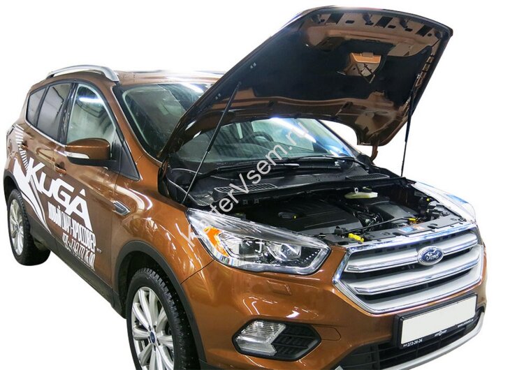 Газовые упоры капота АвтоУпор для Ford Kuga II рестайлинг 2016-2019, 2 шт., UFDKUG021